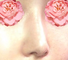 The perfect nose revision surgery