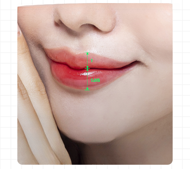 Golden-ratio 1:1.615 lips
