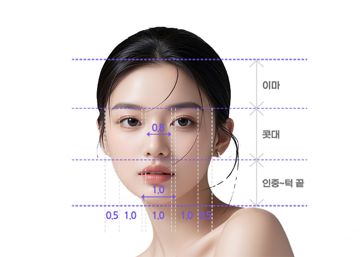 Ideal nose proportion — diagram measuring horizontal and vertical facial proportions (1:1:0.8)
