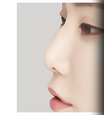 Hump nose side-profile case 3