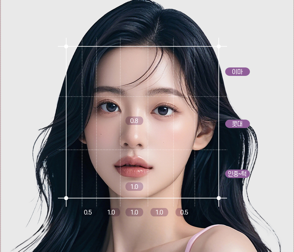 Ideal facial proportion analysis diagram