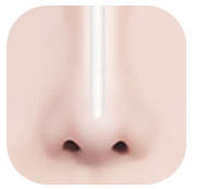 Illustration of a nose with a visible implant