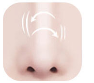 Illustration of a nose with a shifting implant