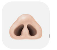 Illustration of a nose with a compressed nasal tip